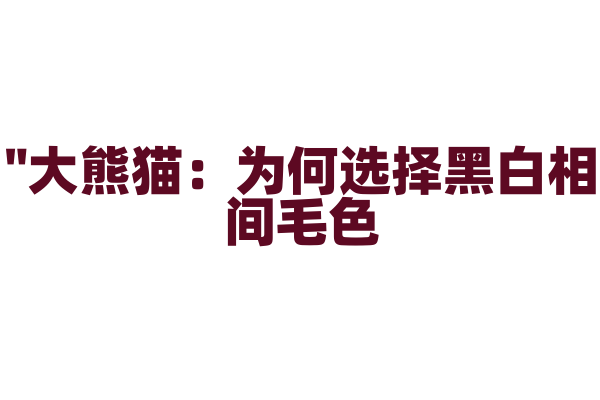 "大熊猫：为何选择黑白相间毛色？"
